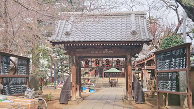 梅照院_201802