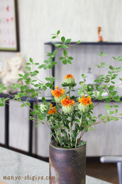 紅花2016