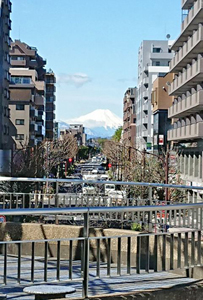 東久留米富士見通り