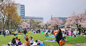 nakanocentralpark_201903