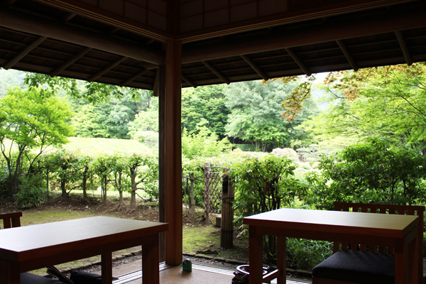 万酔園_茶室から