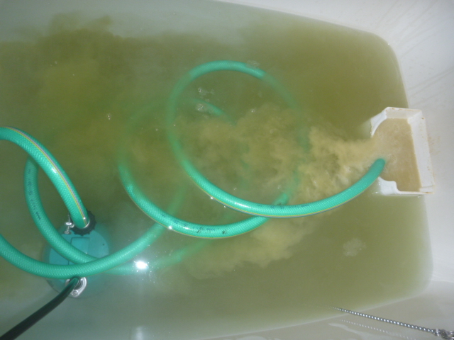 浴室追い焚き配管除菌洗浄中の画像