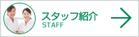 スタッフ紹介